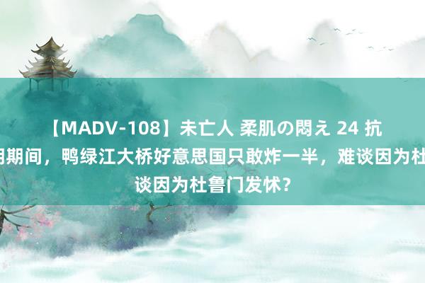 【MADV-108】未亡人 柔肌の悶え 24 抗好意思援朝期间，鸭绿江大桥好意思国只敢炸一半，难谈因为杜鲁门发怵？