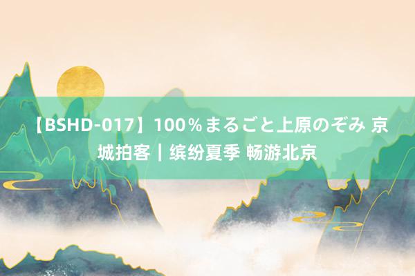 【BSHD-017】100％まるごと上原のぞみ 京城拍客｜缤纷夏季 畅游北京