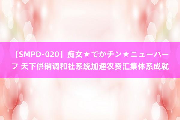 【SMPD-020】痴女★でかチン★ニューハーフ 天下供销调和社系统加速农资汇集体系成就