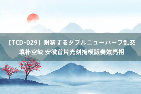 【TCD-029】射精するダブルニューハーフ乱交 填补空缺 安徽首片光刻掩模版奏效亮相