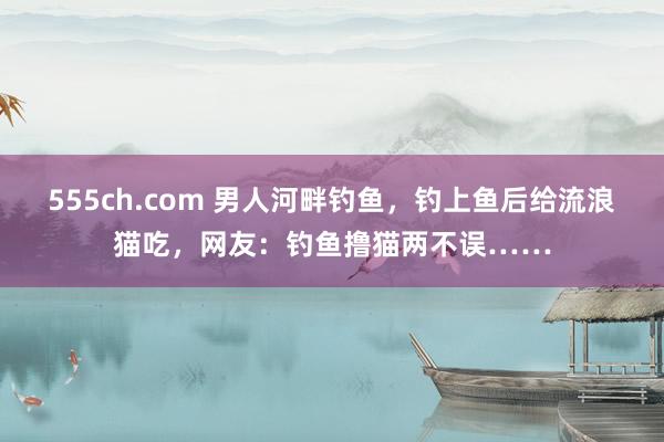 555ch.com 男人河畔钓鱼，钓上鱼后给流浪猫吃，网友：钓鱼撸猫两不误……