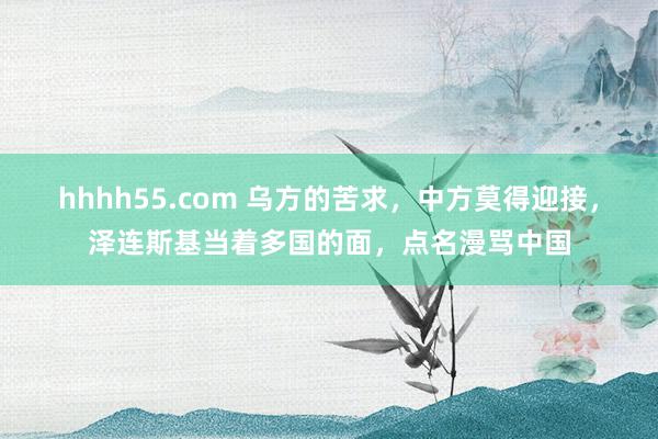 hhhh55.com 乌方的苦求，中方莫得迎接，泽连斯基当着多国的面，点名漫骂中国