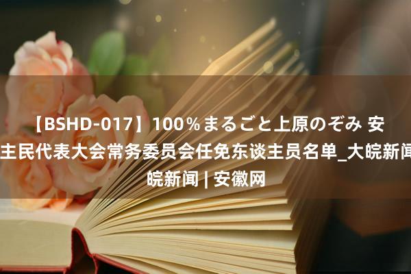 【BSHD-017】100％まるごと上原のぞみ 安徽省东谈主民代表大会常务委员会任免东谈主员名单_大皖新闻 | 安徽网