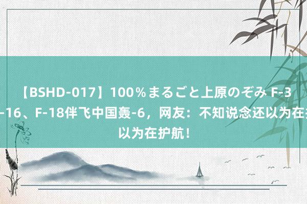 【BSHD-017】100％まるごと上原のぞみ F-35、F-16、F-18伴飞中国轰-6，网友：不知说念还以为在护航！