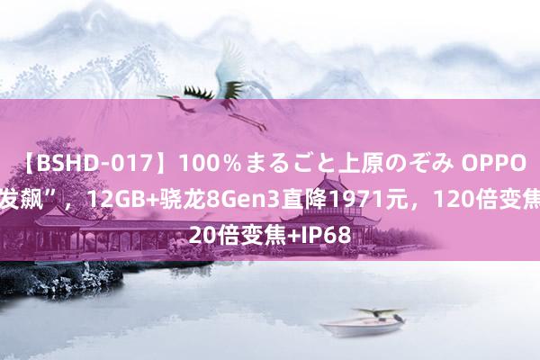 【BSHD-017】100％まるごと上原のぞみ OPPO透彻“发飙”，12GB+骁龙8Gen3直降1971元，120倍变焦+IP68