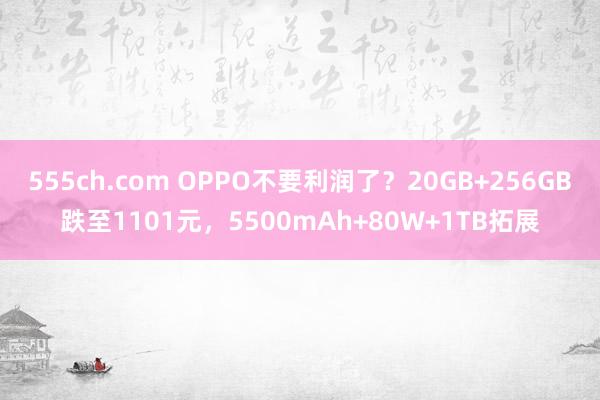 555ch.com OPPO不要利润了？20GB+256GB跌至1101元，5500mAh+80W+1TB拓展