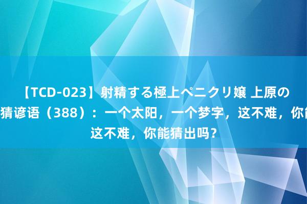 【TCD-023】射精する極上ペニクリ嬢 上原のぞみ 看图猜谚语（388）：一个太阳，一个梦字，这不难，你能猜出吗？