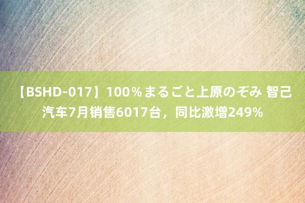 【BSHD-017】100％まるごと上原のぞみ 智己汽车7月销售6017台，同比激增249%