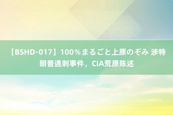 【BSHD-017】100％まるごと上原のぞみ 涉特朗普遇刺事件，CIA荒原陈述