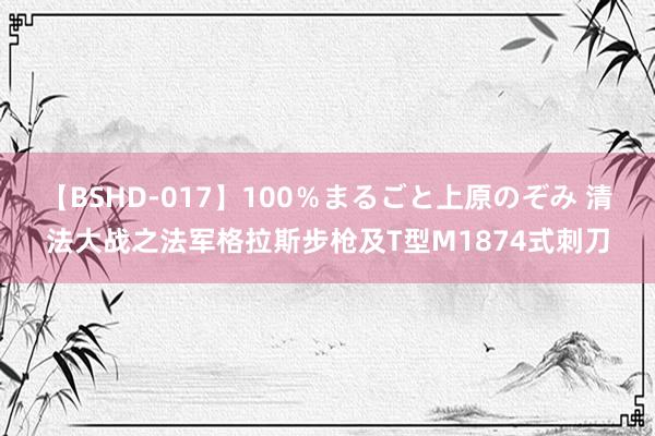 【BSHD-017】100％まるごと上原のぞみ 清法大战之法军格拉斯步枪及T型M1874式刺刀