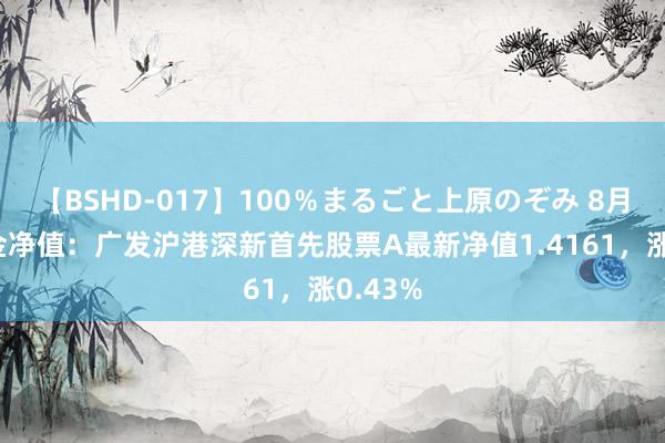 【BSHD-017】100％まるごと上原のぞみ 8月1日基金净值：广发沪港深新首先股票A最新净值1.4161，涨0.43%