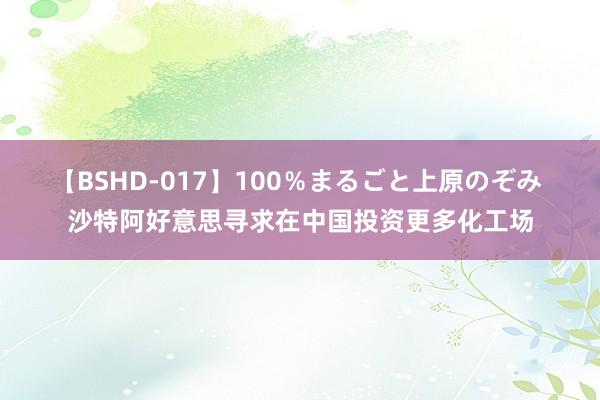 【BSHD-017】100％まるごと上原のぞみ 沙特阿好意思寻求在中国投资更多化工场