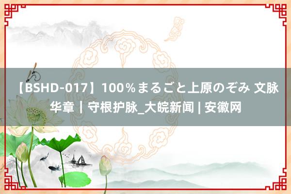 【BSHD-017】100％まるごと上原のぞみ 文脉华章｜守根护脉_大皖新闻 | 安徽网