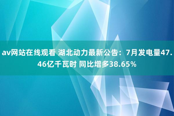 av网站在线观看 湖北动力最新公告：7月发电量47.46亿千瓦时 同比增多38.65%