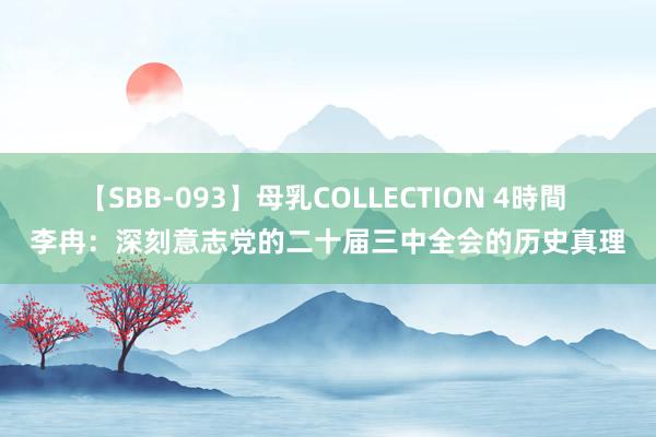 【SBB-093】母乳COLLECTION 4時間 李冉：深刻意志党的二十届三中全会的历史真理