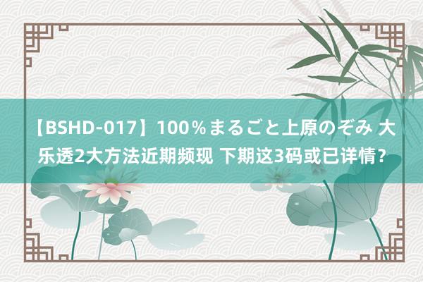 【BSHD-017】100％まるごと上原のぞみ 大乐透2大方法近期频现 下期这3码或已详情？