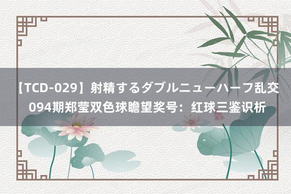 【TCD-029】射精するダブルニューハーフ乱交 094期郑莹双色球瞻望奖号：红球三鉴识析