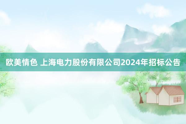 欧美情色 上海电力股份有限公司2024年招标公告