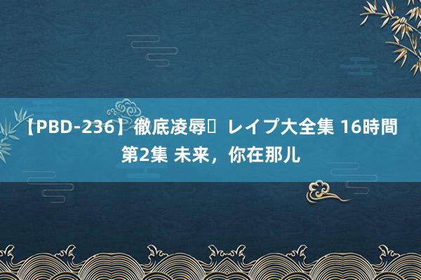 【PBD-236】徹底凌辱・レイプ大全集 16時間 第2集 未来，你在那儿