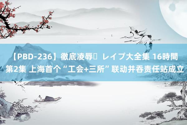 【PBD-236】徹底凌辱・レイプ大全集 16時間 第2集 上海首个“工会+三所”联动并吞责任站成立