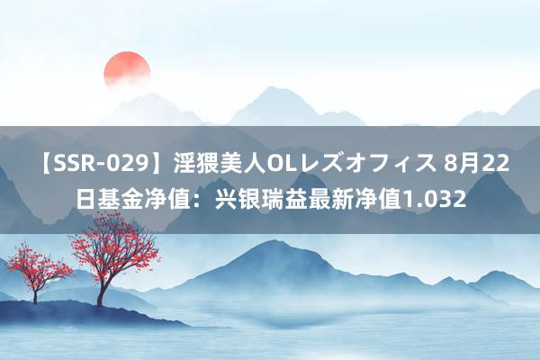 【SSR-029】淫猥美人OLレズオフィス 8月22日基金净值：兴银瑞益最新净值1.032