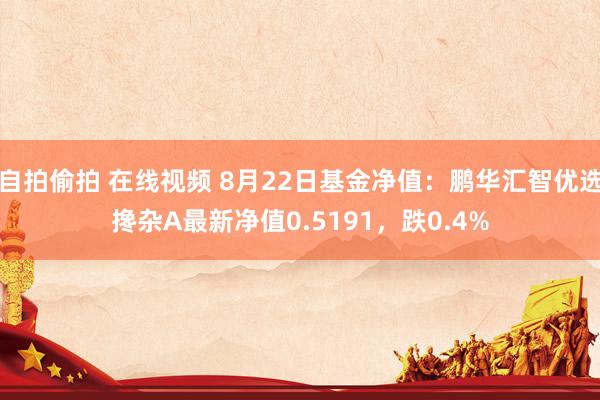 自拍偷拍 在线视频 8月22日基金净值：鹏华汇智优选搀杂A最新净值0.5191，跌0.4%