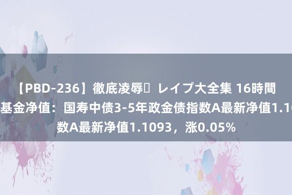 【PBD-236】徹底凌辱・レイプ大全集 16時間 第2集 8月22日基金净值：国寿中债3-5年政金债指数A最新净值1.1093，涨0.05%