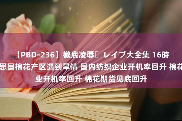 【PBD-236】徹底凌辱・レイプ大全集 16時間 第2集 好意思国棉花产区遇到旱情 国内纺织企业开机率回升 棉花期货见底回升