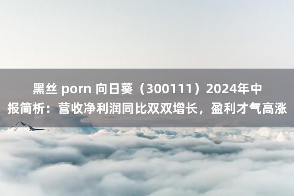 黑丝 porn 向日葵（300111）2024年中报简析：营收净利润同比双双增长，盈利才气高涨