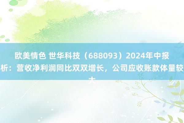 欧美情色 世华科技（688093）2024年中报简析：营收净利润同比双双增长，公司应收账款体量较大