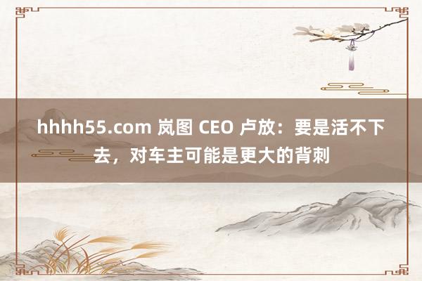 hhhh55.com 岚图 CEO 卢放：要是活不下去，对车主可能是更大的背刺