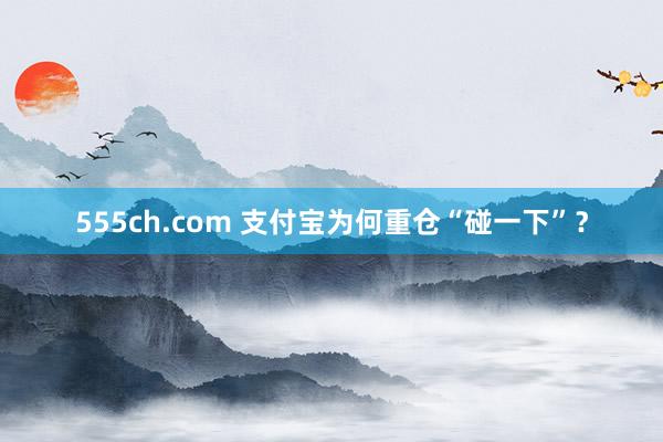 555ch.com 支付宝为何重仓“碰一下”？