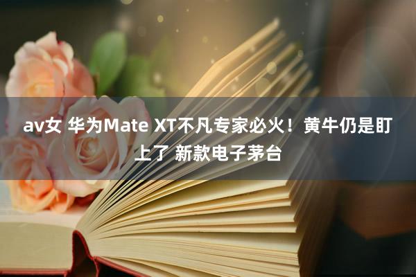 av女 华为Mate XT不凡专家必火！黄牛仍是盯上了 新款电子茅台