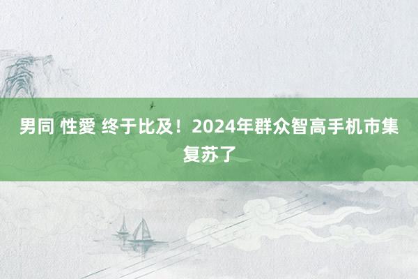 男同 性愛 终于比及！2024年群众智高手机市集复苏了