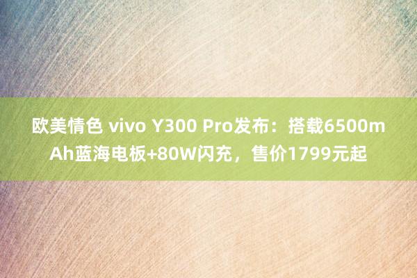 欧美情色 vivo Y300 Pro发布：搭载6500mAh蓝海电板+80W闪充，售价1799元起