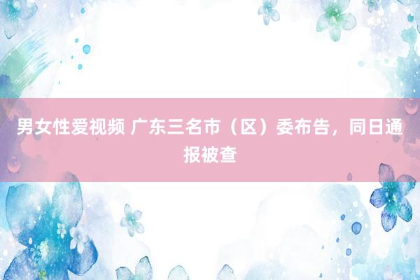 男女性爱视频 广东三名市（区）委布告，同日通报被查