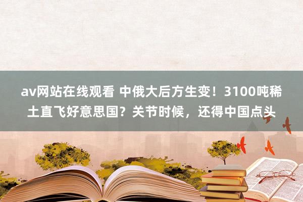 av网站在线观看 中俄大后方生变！3100吨稀土直飞好意思国？关节时候，还得中国点头